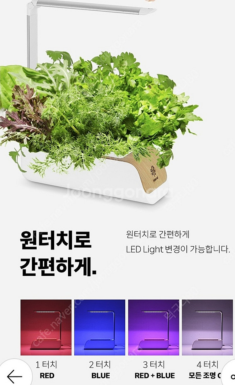 스마트 식물 재배기 새상품--4